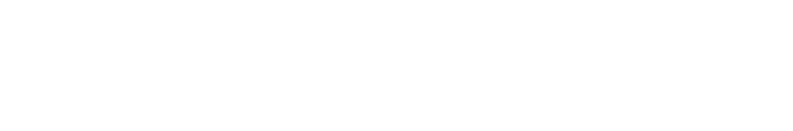 LungoLinea Studio